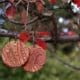 Handmade Leather Earrings 'LEDA' (woven fabric & leather) 9