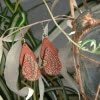 Handmade Leather Earrings 'TIZIANA' 3